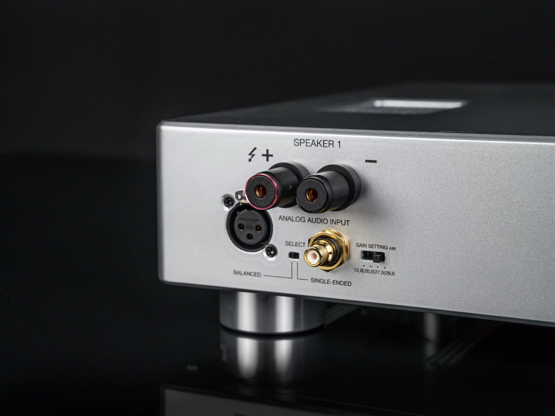 Purifi 1ET7040SA DM Lux Dual Mono Amplifier - Image 6