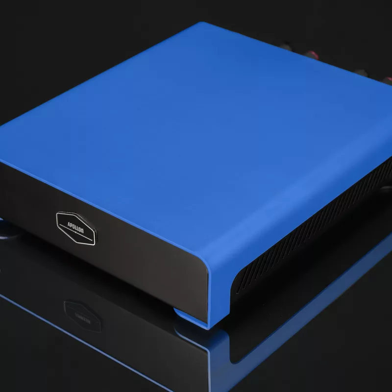 Apollon Audio Purifi 1ET7040SA M Monoblock Amplifier