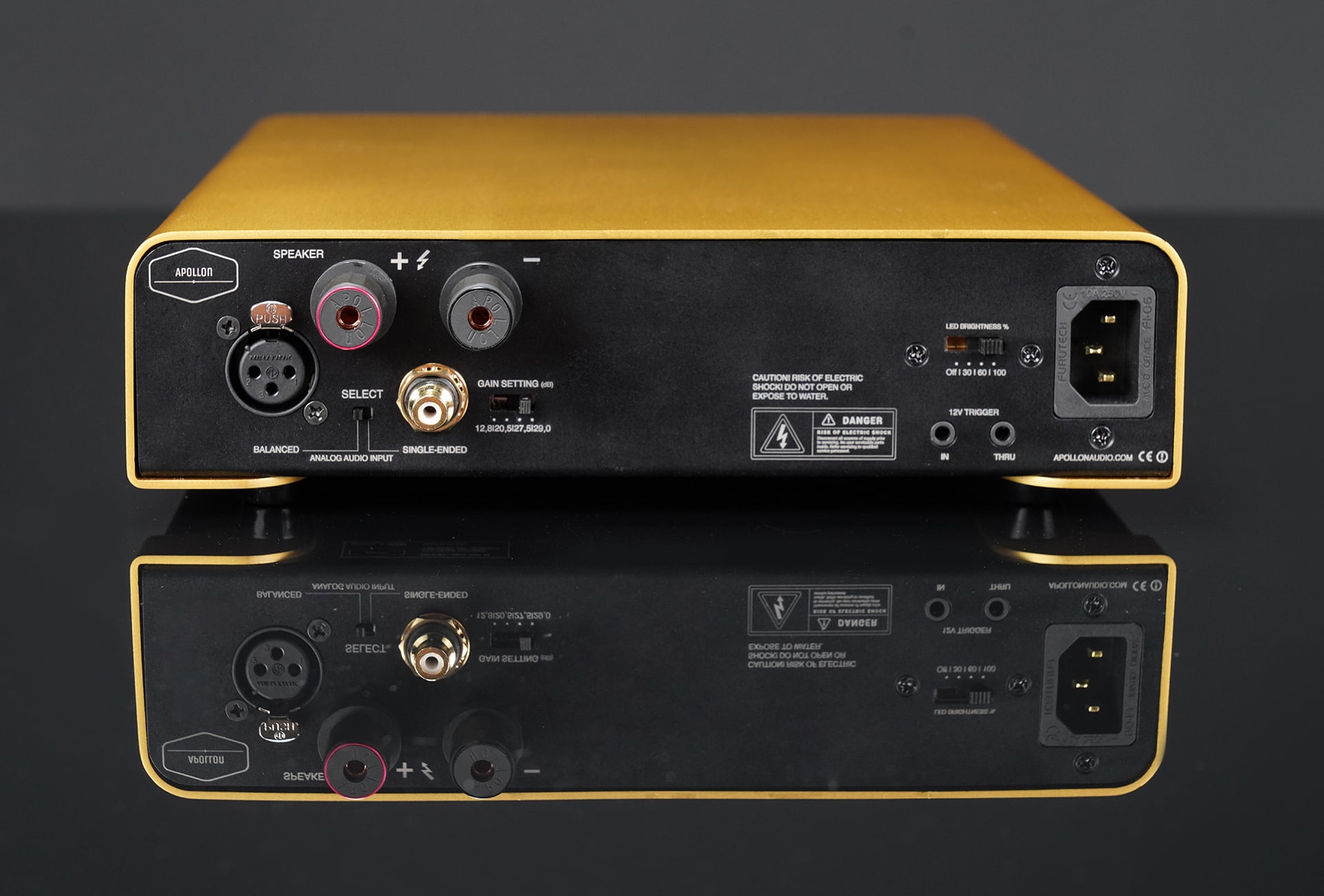 Apollon Purifi 1ET400A Mono Amplifier Backpanel Gold