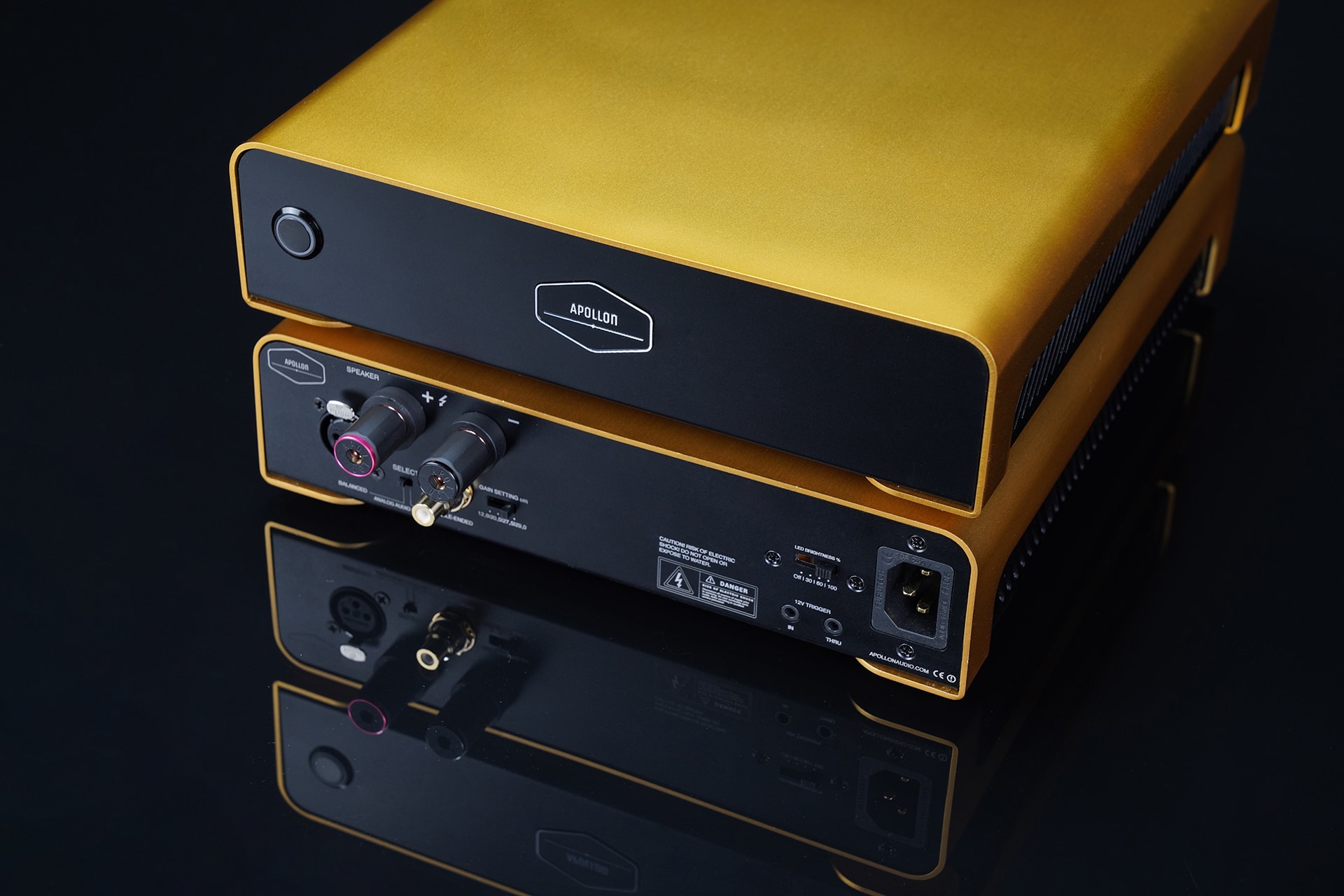 Apollon Purifi 1ET7040SA Mono Amplifier Front and back stacked Gold