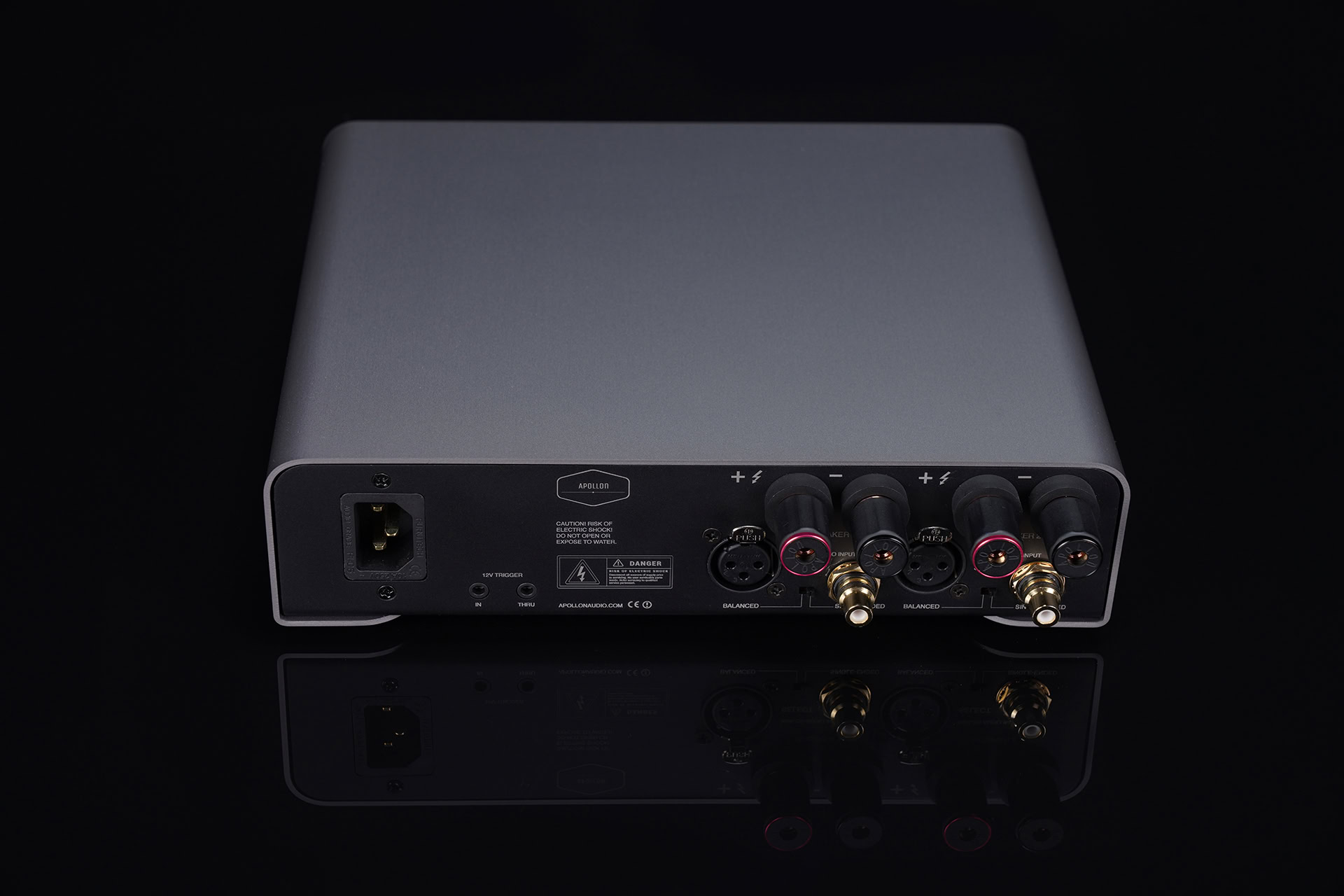 Hypex NC122MP Stereo Amplifier Titan Anodized Backpanel View Apollon Audio