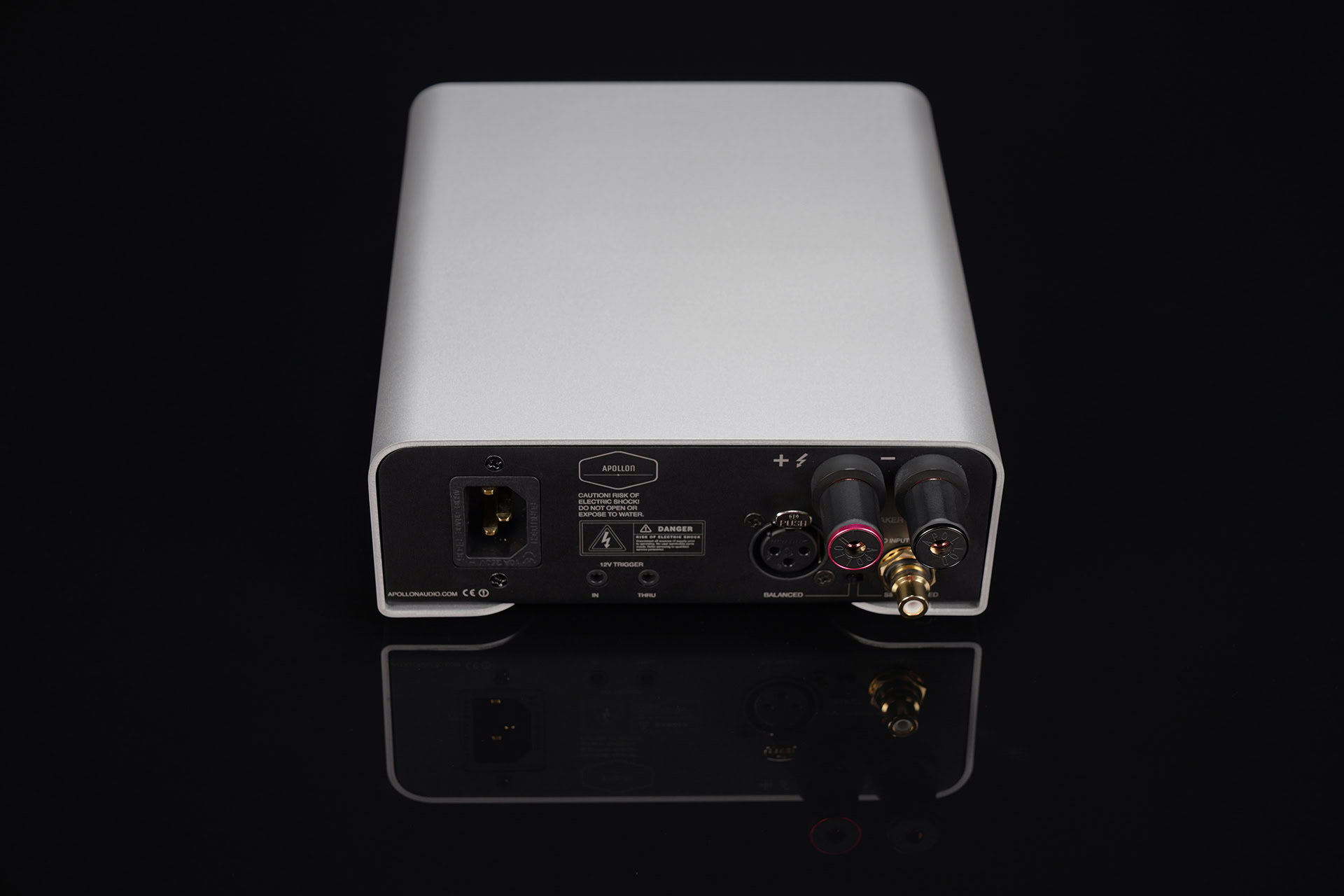 Hypex NC500MP Monoblock Amplifier Silver Anodized Back View Apollon Audio