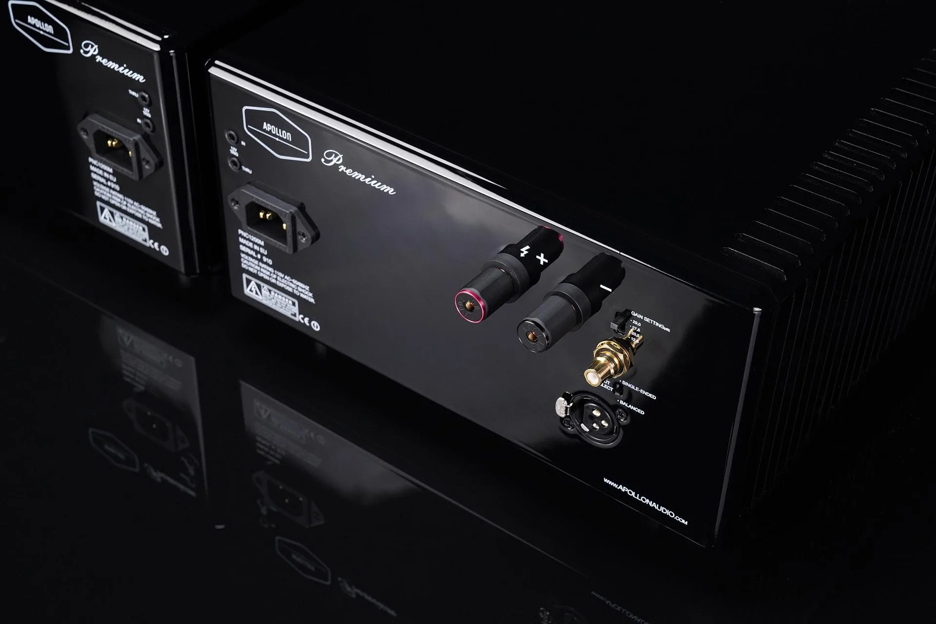 Purifi-1ET9040BA-eigentakt-amplifier-mono-backpanel