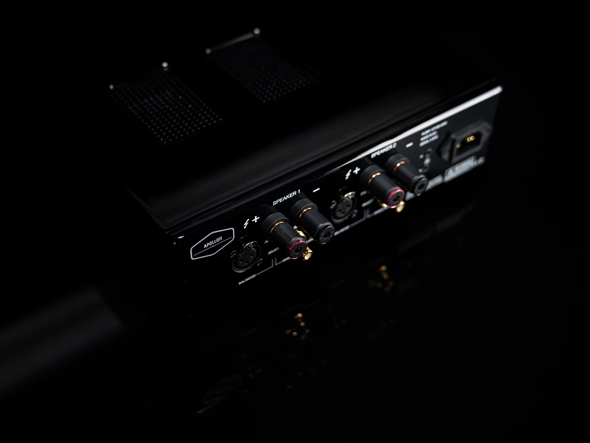 Purifi Eigentakt 1ET6525SA