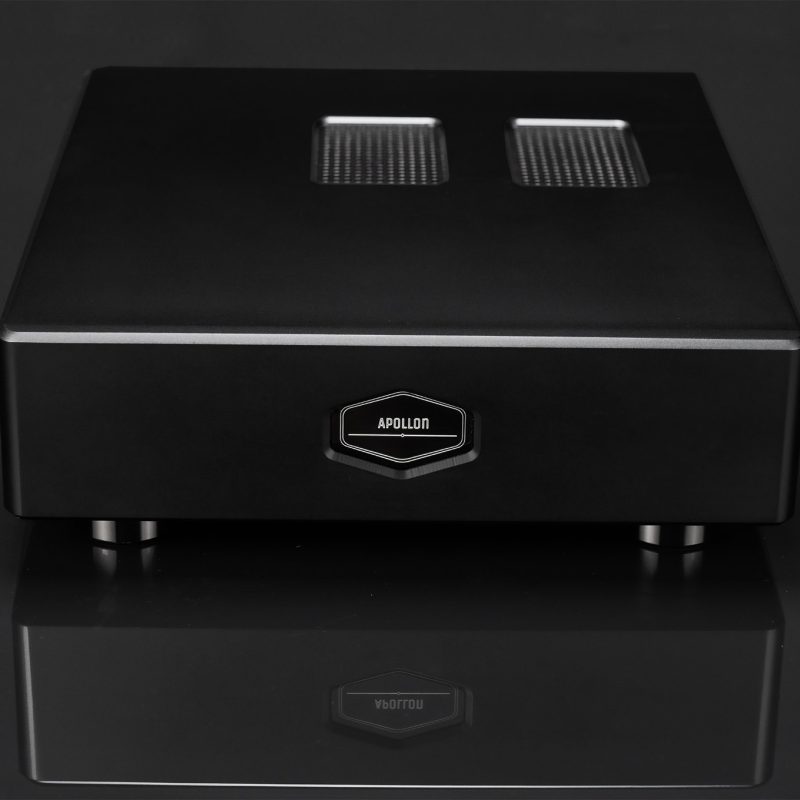 Purifi Eigentakt 1ET6525SA