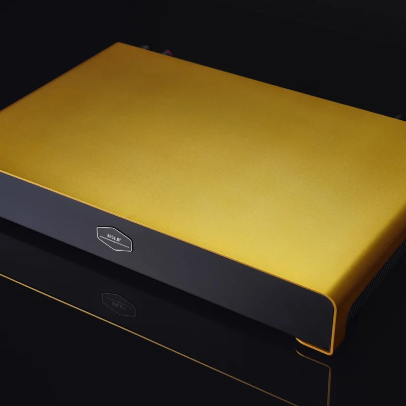 Purifi-1ET9040BA-Dual-Mono-Amplifier