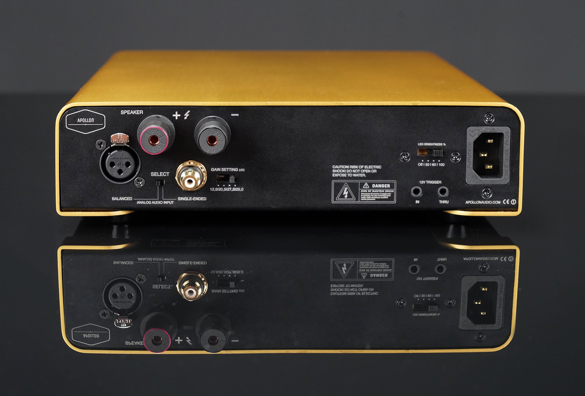 Apollon-Purifi-1ET9040BA-Monoblock-Amplifier-Backpanel-Gold