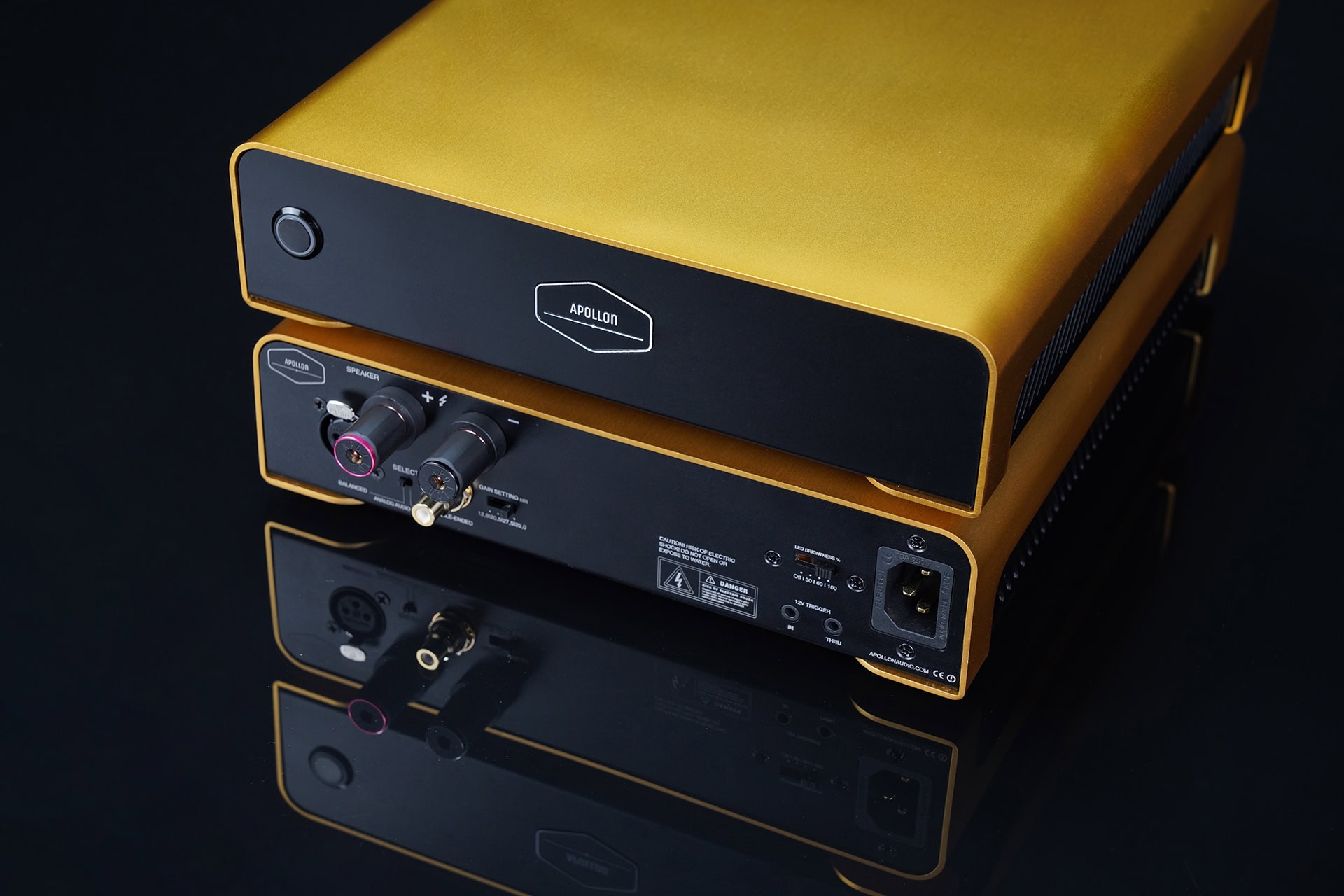 Apollon-Purifi-1ET9040BA-Monoblock-Amplifier-Front-and-back-stacked-Gold