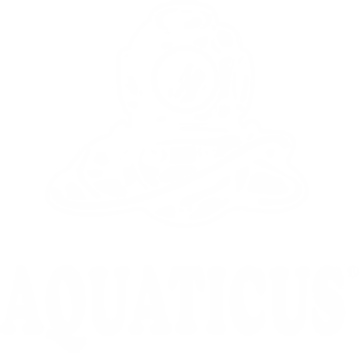 Wysokiej jakości dekoracja ogrodu wodnego AquaTICUS na stronie aquanticus.dot2.pl.