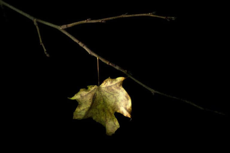 SZEPTEMBER OLYAN MESSZE VAN