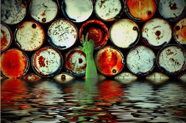 AZ „ÖKOLÓGIAI KULTÚRA” KÖRVONALAI