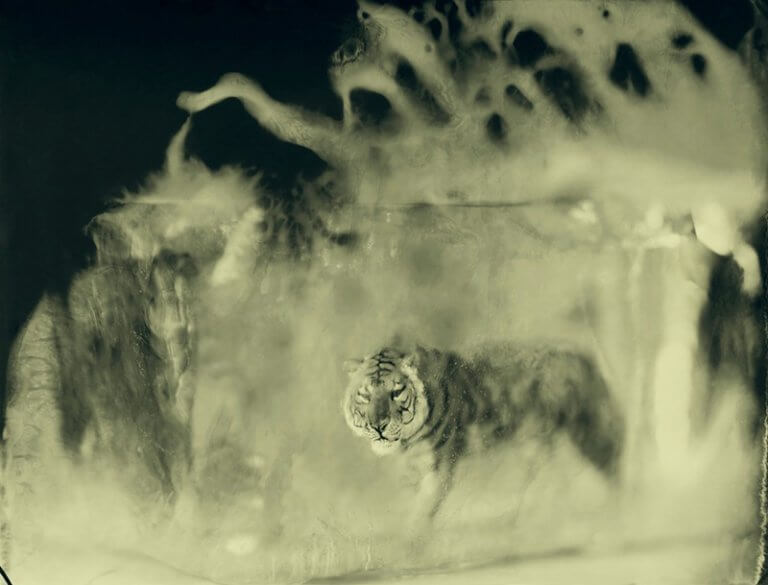 HELYÜK A VILÁGEGYETEMBEN