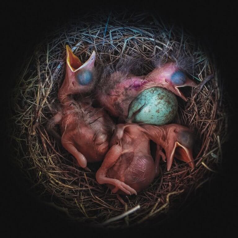 MEGHÍVTAK MINT EGY ABSZINTRA