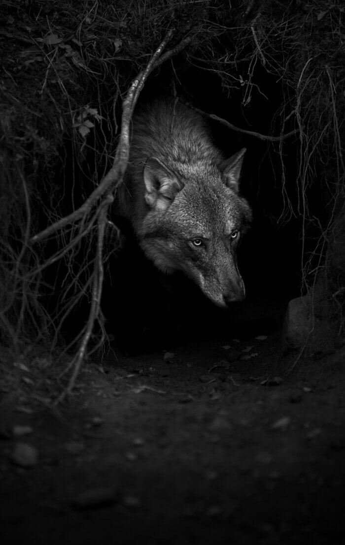 A MÍTOSZ SZEREPE A TUDOMÁNYBAN