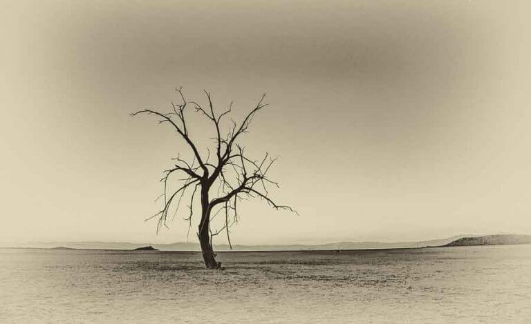 A HALOGATÁS GÉPEZETE