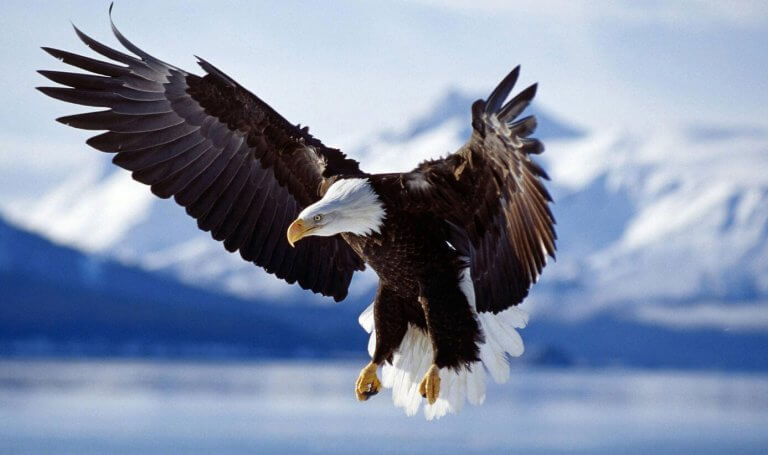 …HALLOM A HÍREKET,