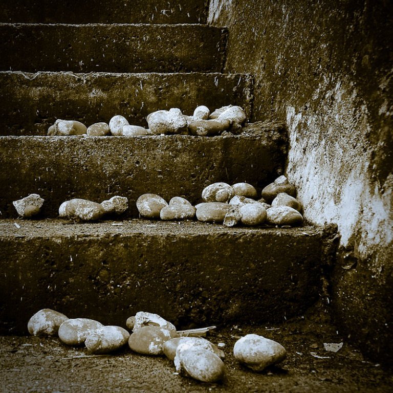 KALANDOZÁSOK A JÁRDASZÉLEN