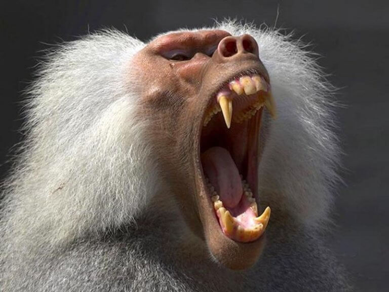 NAGYSZERŰ DOLGOK TÖRTÉNNEK AZ EMBERREL