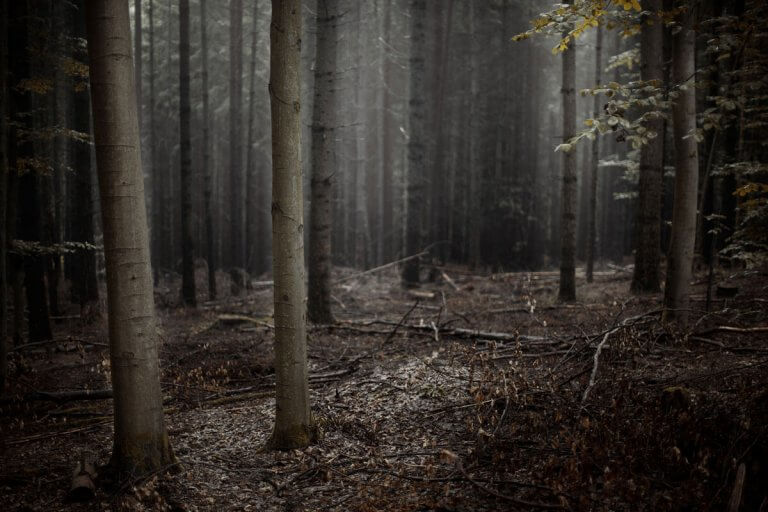 A SEMMI ELLEN HOGY KÉNE VÉDEKEZNI