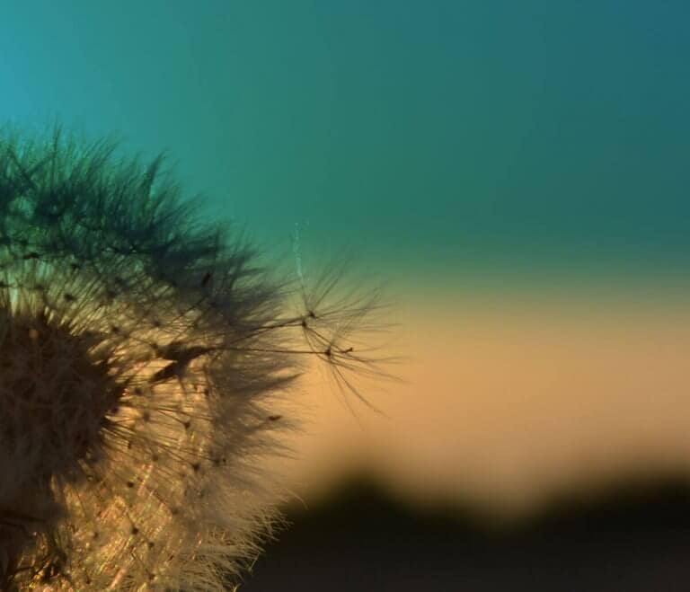 ÁLOM A KÖNNYEDSÉGRŐL