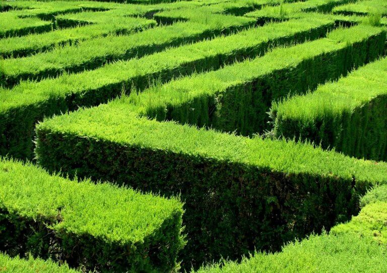 KIS CIKLIKUS: A RÍMNEK BŰVTANÁRÓL