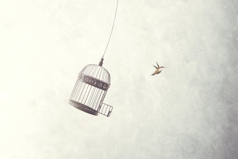 AZ AKARAT SZABADSÁGÁRÓL ÉS EGYEBEKRŐL