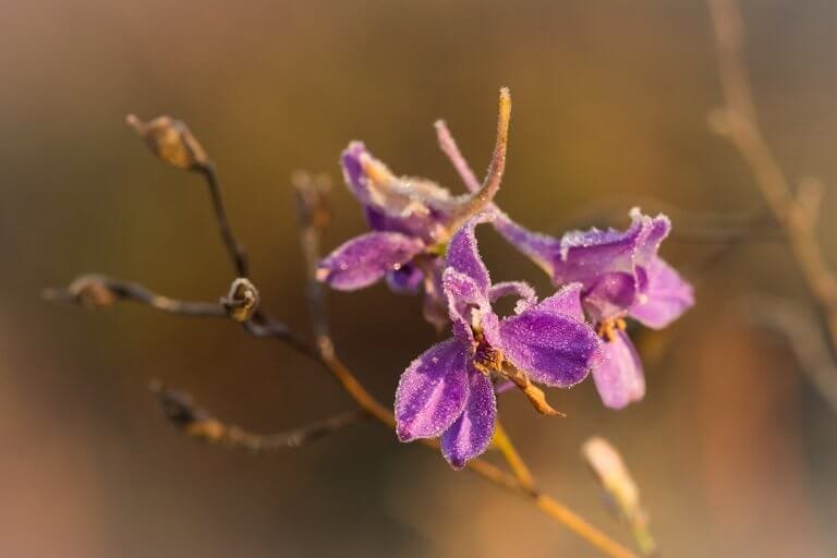 RÉSNYIRE ZÁRT SZEM