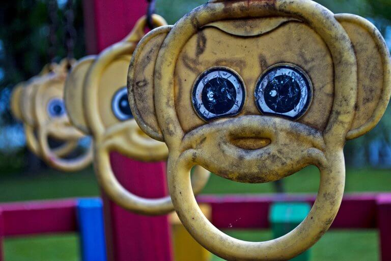 AZ ESŐERDŐK FELGYORSULT PUSZTÍTÁSA