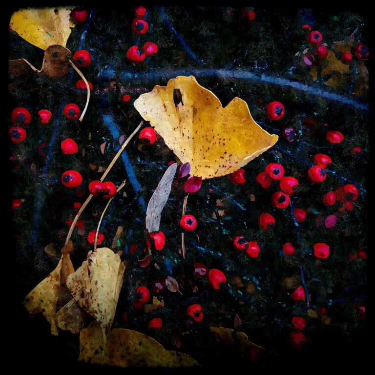 ELTÁVOZOTT BARÁTOM