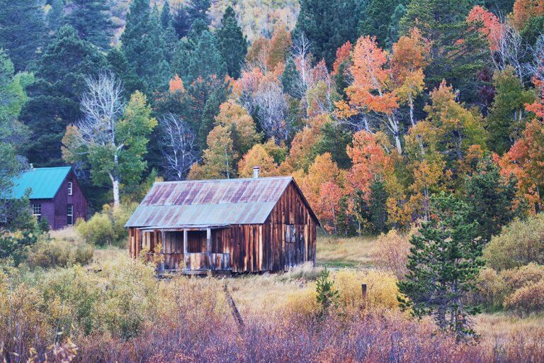 „…EGY LASSÚ ZUHANÁSBAN ÁLLUNK…”