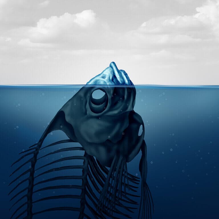 A VÍZRE ÍRT KÉPLET