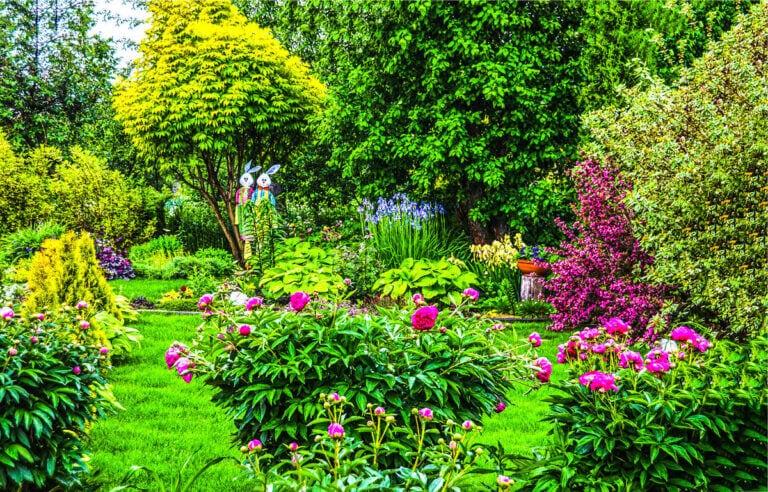 TONI MORRISON ÉS A KERT