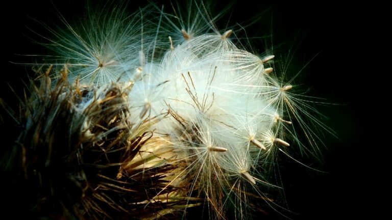 A VÁLTOZTATHATATLAN ÁTVÁLTOZTATÁSA