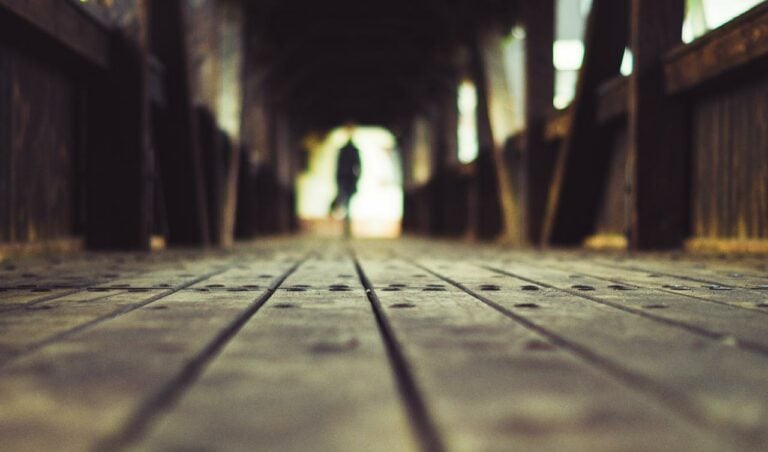 NAPLÓ AZ IDEGEN EREDETÉRŐL