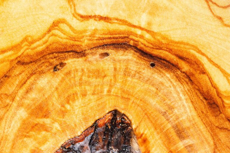 AKARD A VÁLTOZÁST!