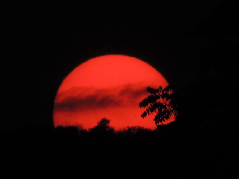MIKÖZBEN FELJÖN ARMSTRONG LÁBNYOMA