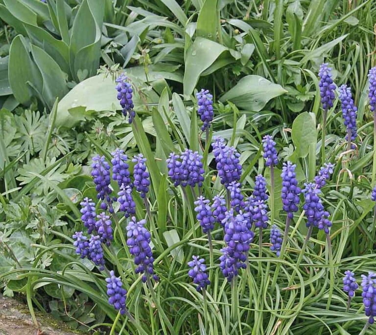 SZAVAKTÓL HOMÁLYLÓ 