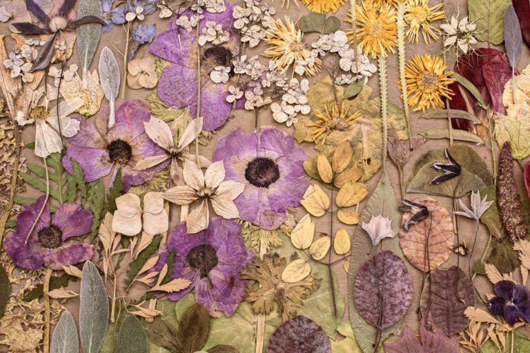 BÍRÓ ZSUZSA MOZIJA