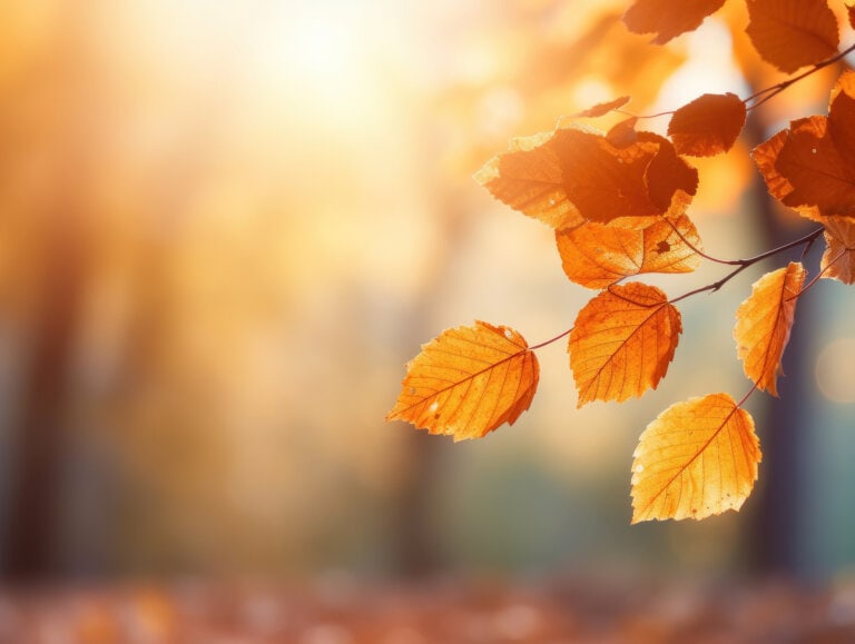 KÉT ŐSZI DAL SURA HÚGOMNAK