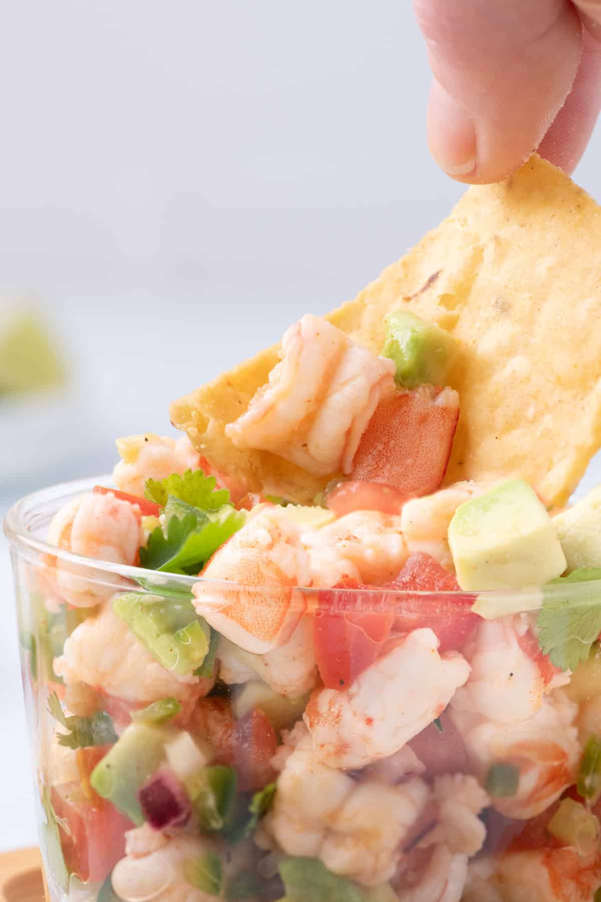 Shrimp ceviche recipe close up featuring tortilla chip scooping up refreshing tomatoes, cucumbers, red onion, serrano peppers, in a cilantro, lime juice, and orange juice marinade. A fresh and easy appetizer or summer recipe.