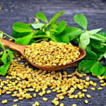 fenugrec pour allonger et grossir le pénis