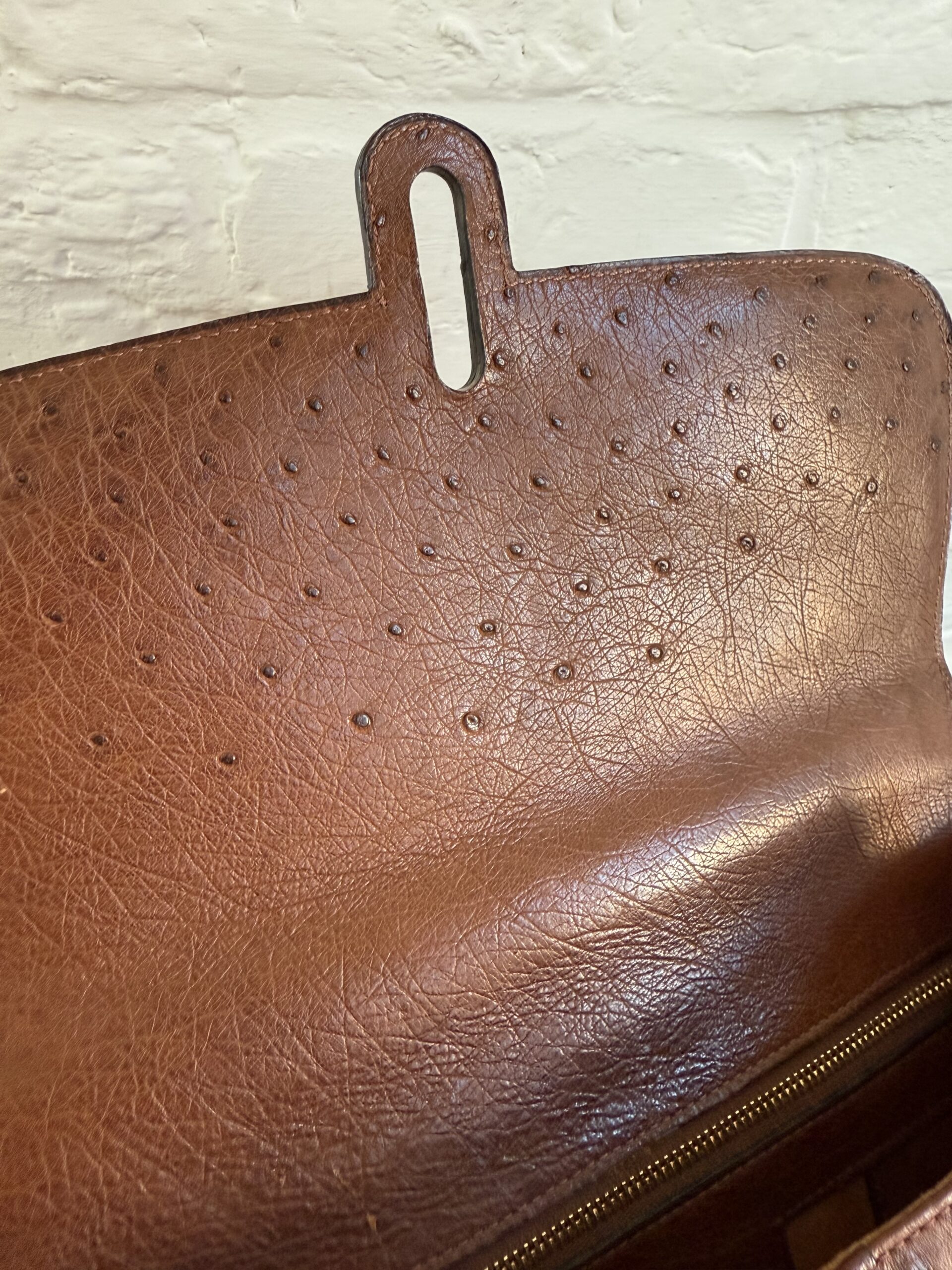 Gin fizz in autruche - Afbeelding 17