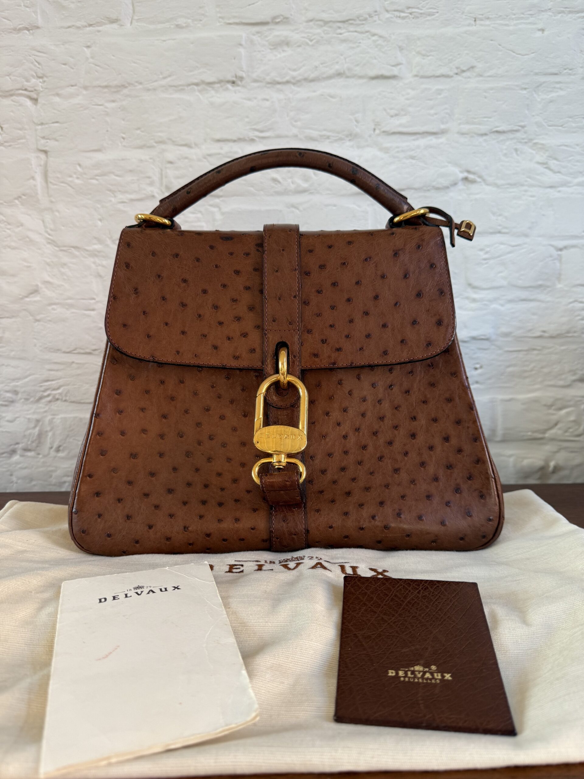 Gin fizz in autruche