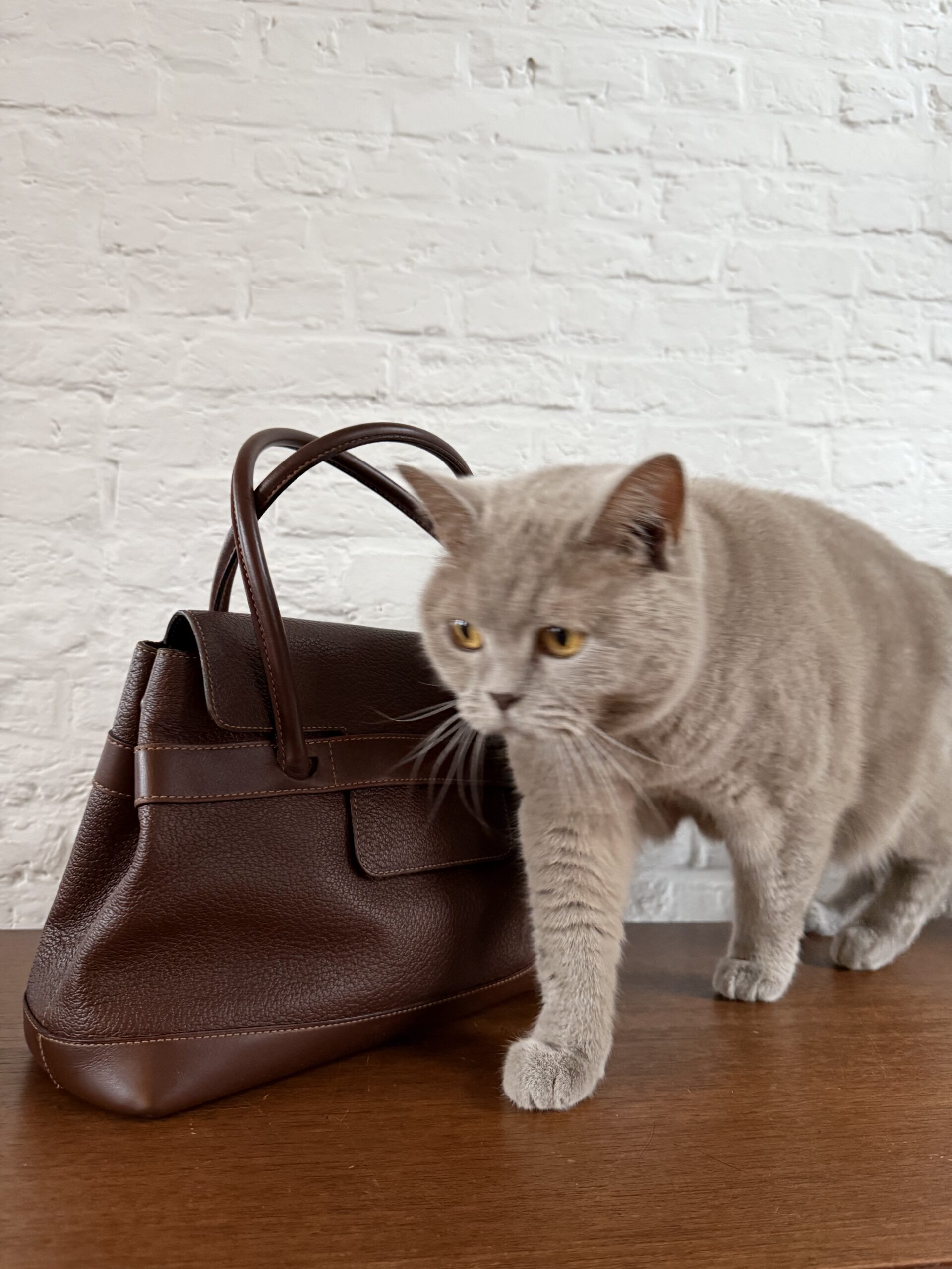 Deux tophandle - Afbeelding 16