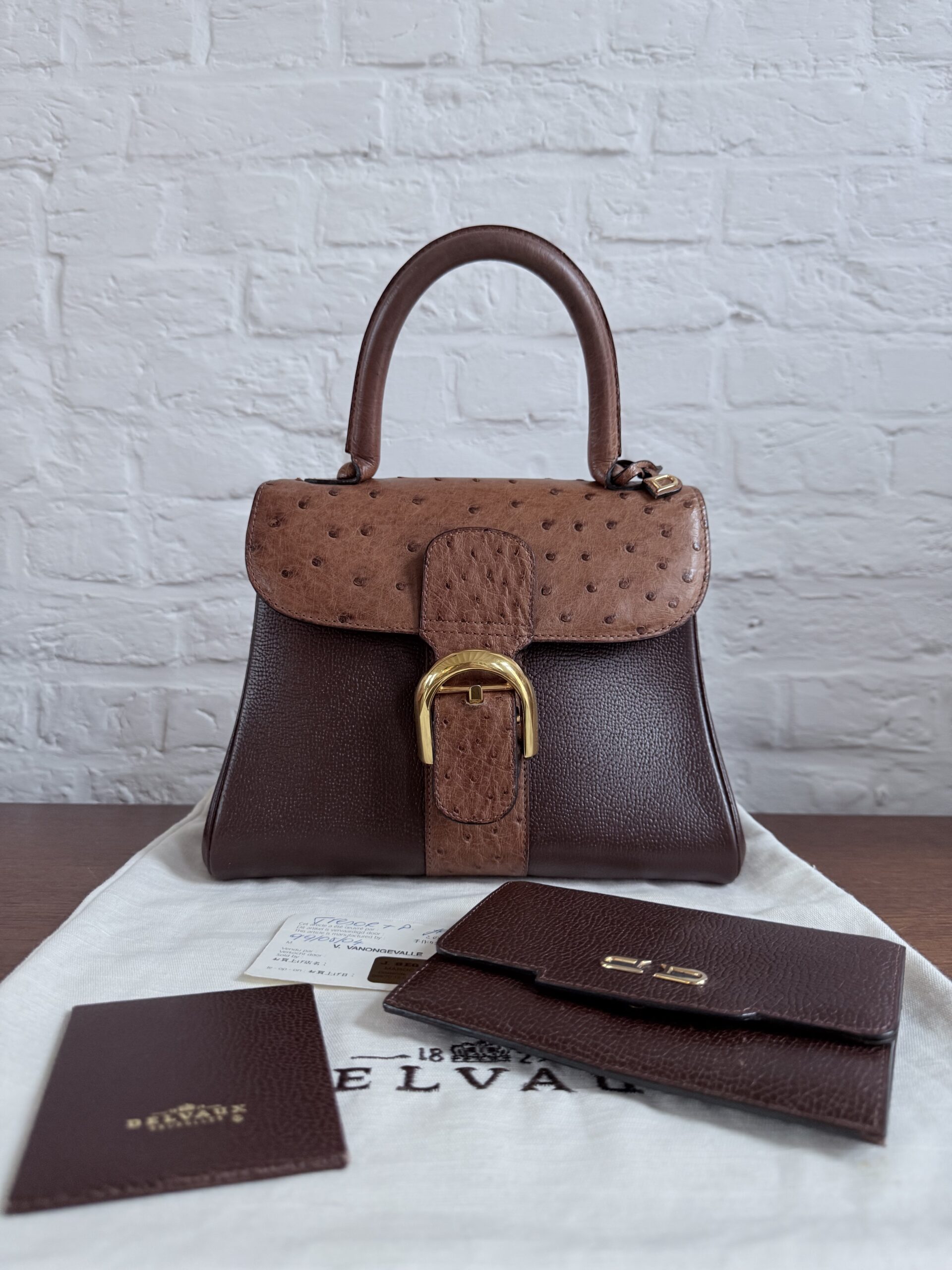 Brillant PM Autruche + portefeuille