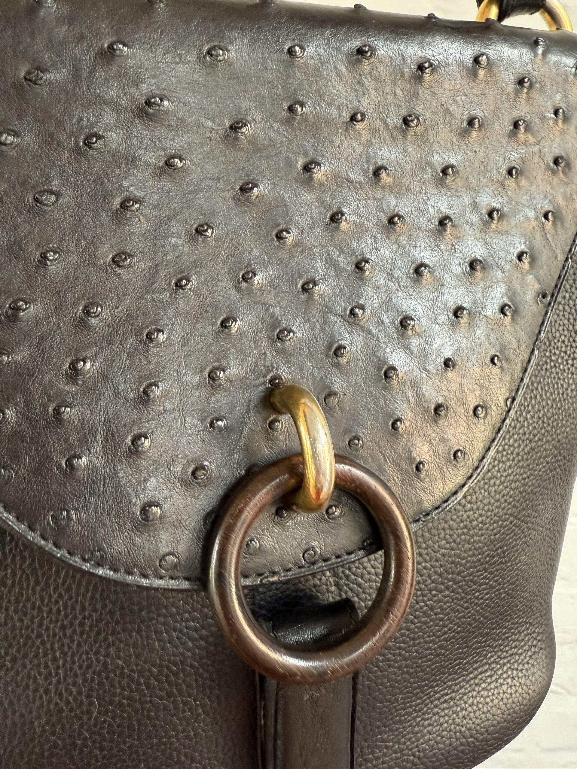 Mimosa Autruche - Afbeelding 4