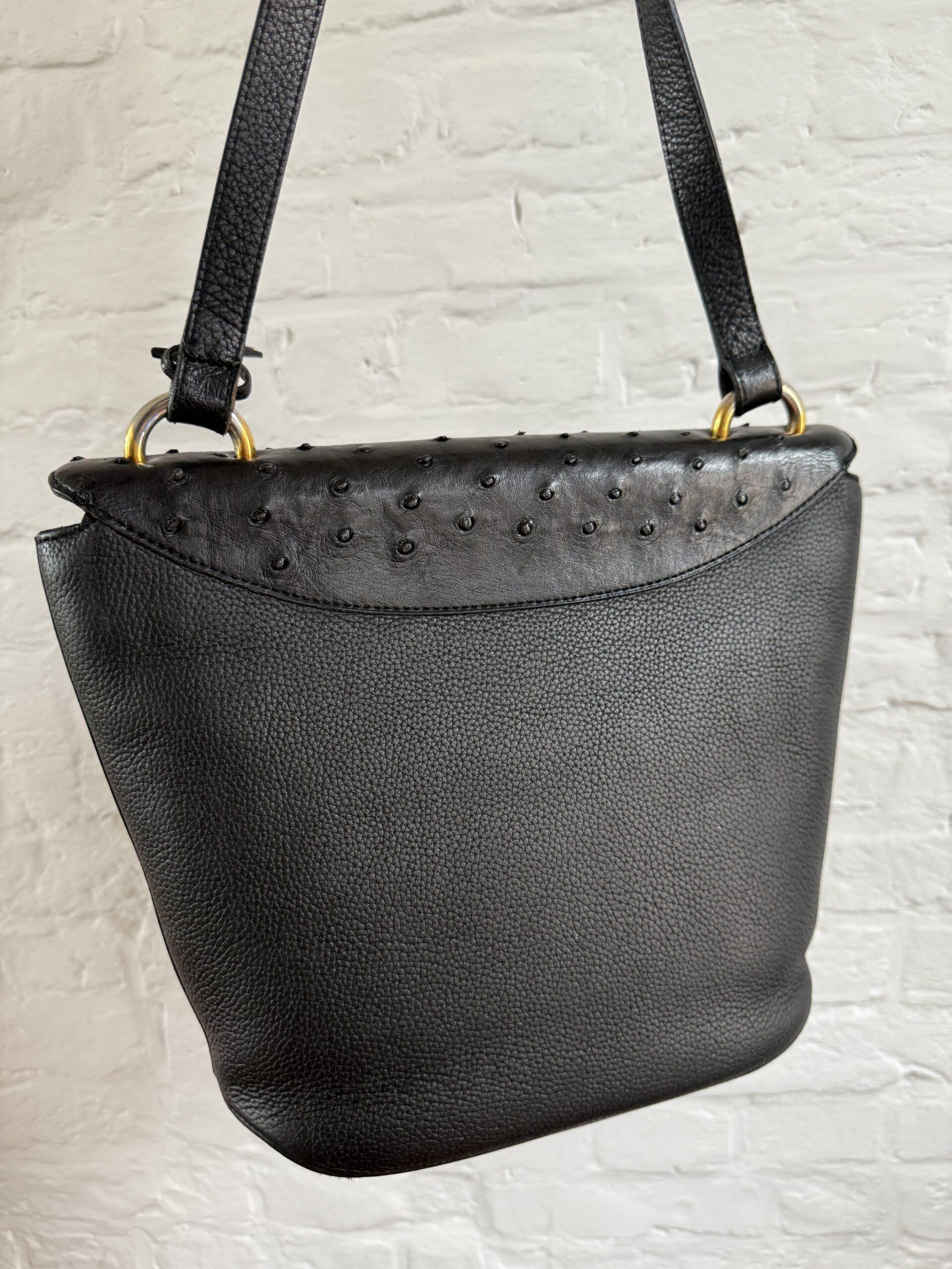 Mimosa Autruche - Afbeelding 10