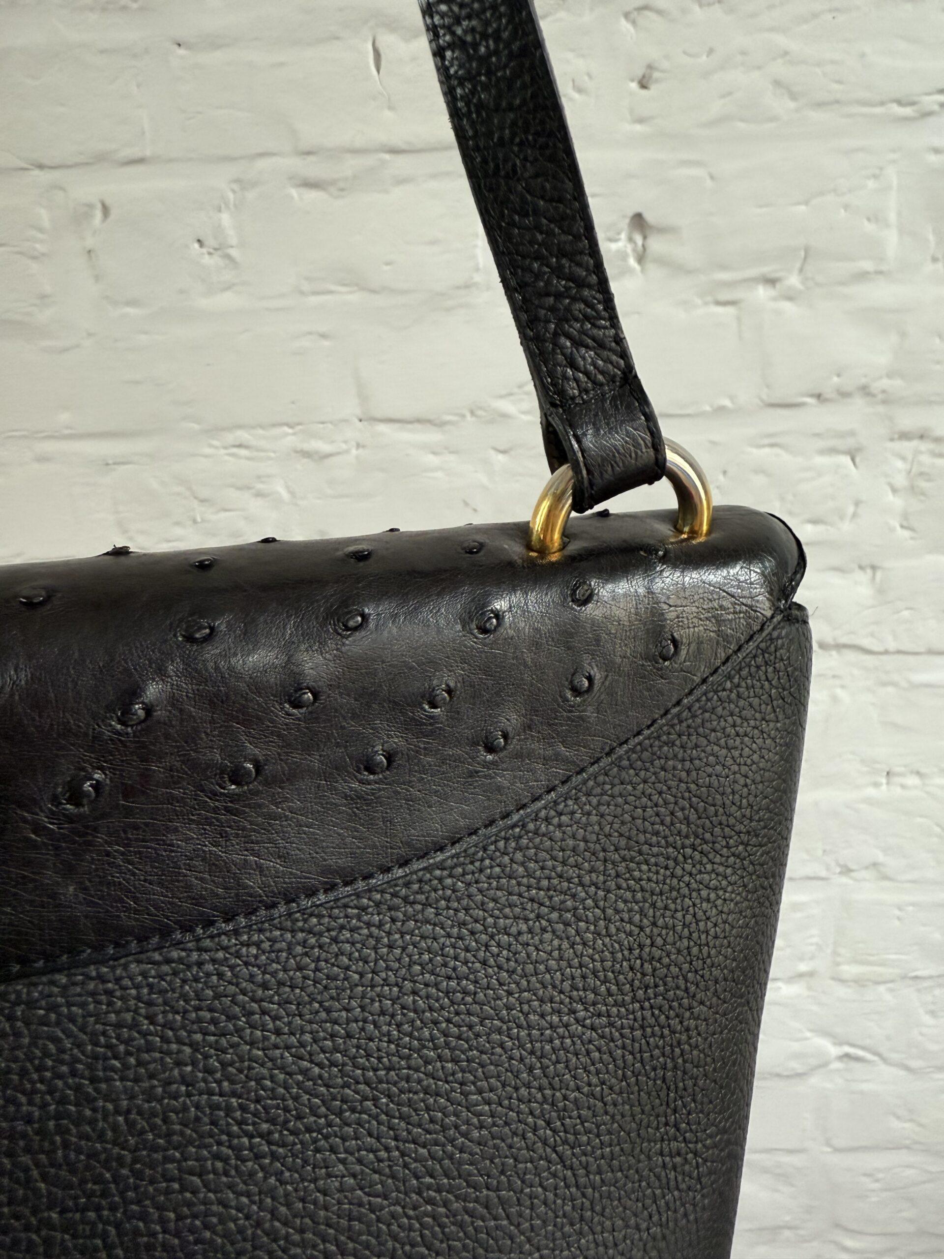 Mimosa Autruche - Afbeelding 11