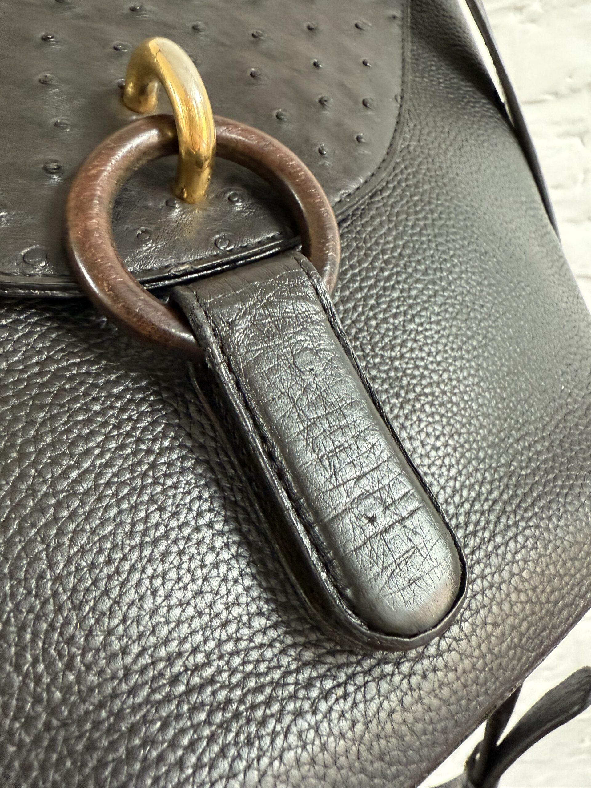 Mimosa Autruche - Afbeelding 14