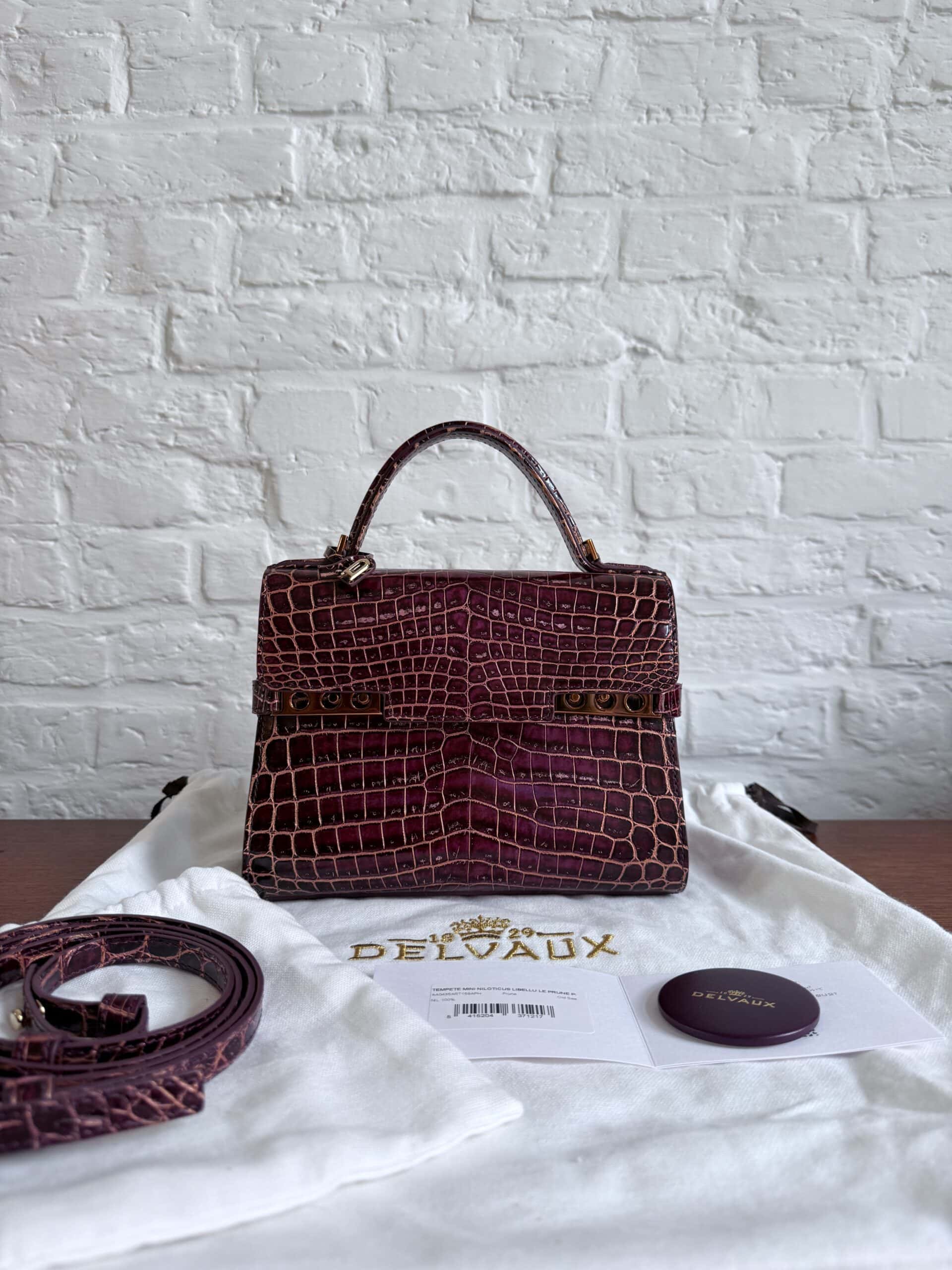 Tempête Mini Niloticus Libellu Prune